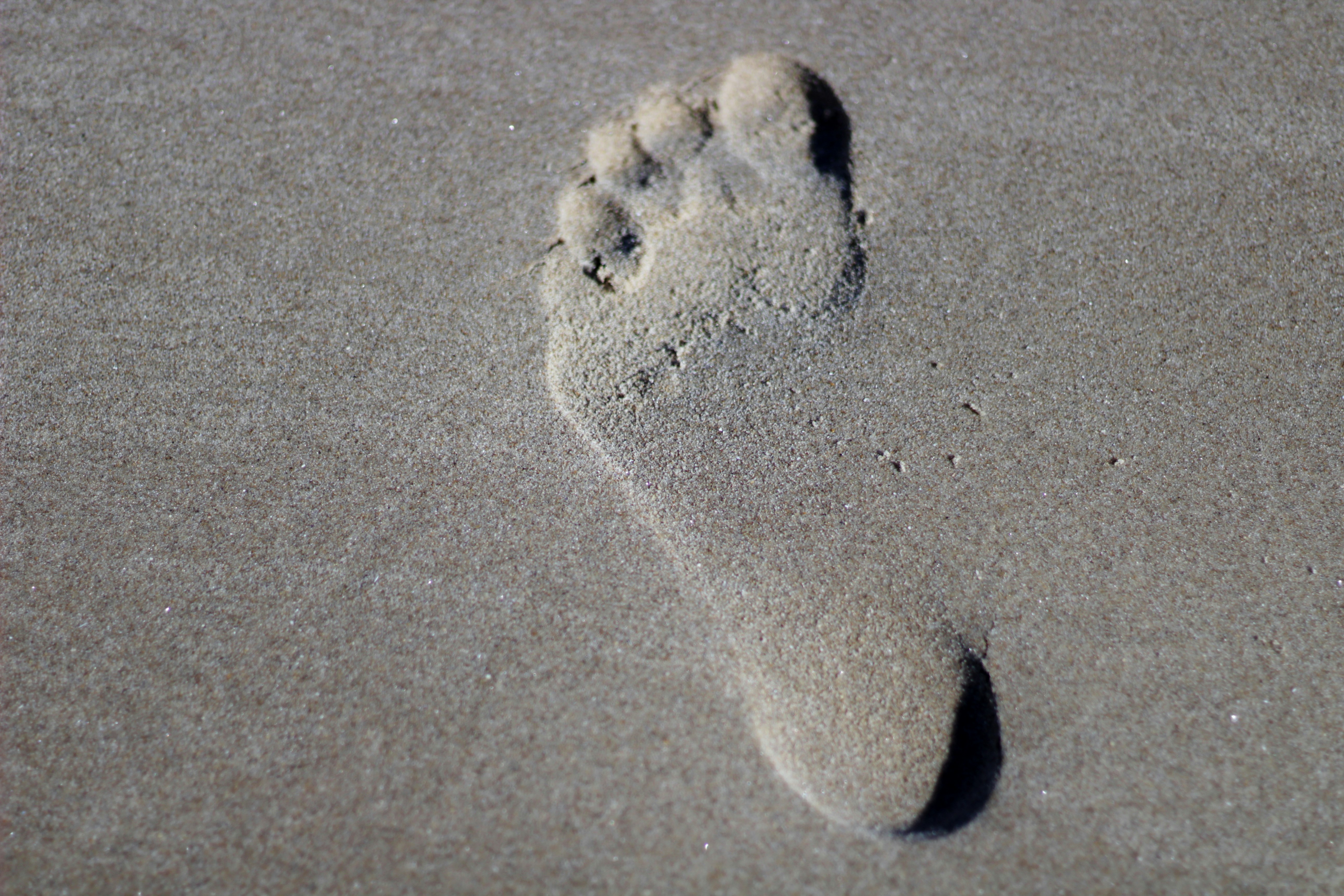 Footprint: This photo was taken on one of the beautiful beaches along the North Norfolk coast in the east of England.
